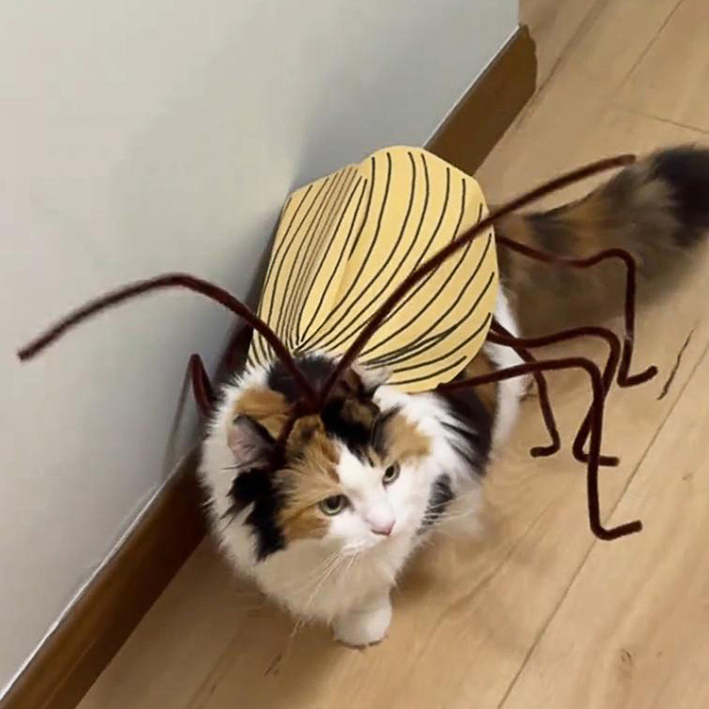 Funny Cockroach Cosplay Cat Co - đánh giá và giá Cosplay Prop Kit