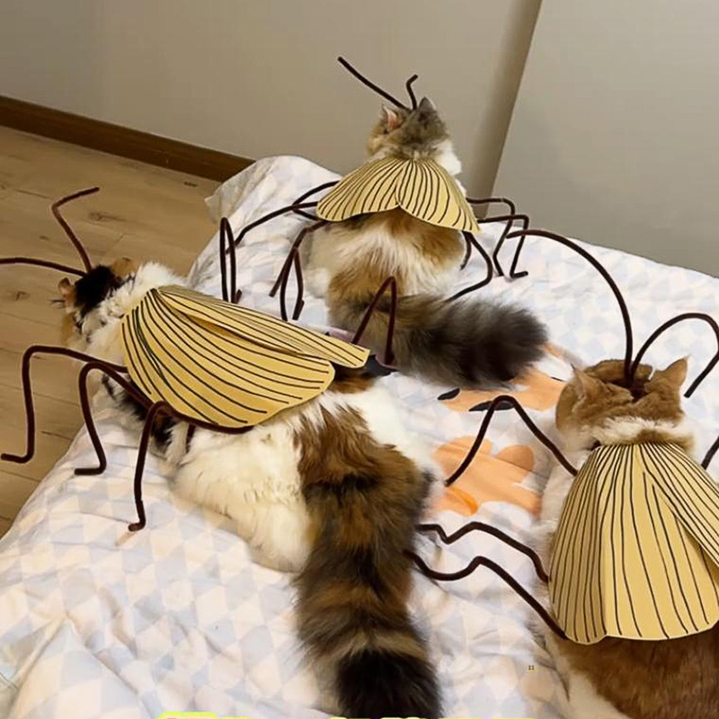 Funny Cockroach Cosplay Cat Co - đánh giá và giá Cosplay Prop Kit